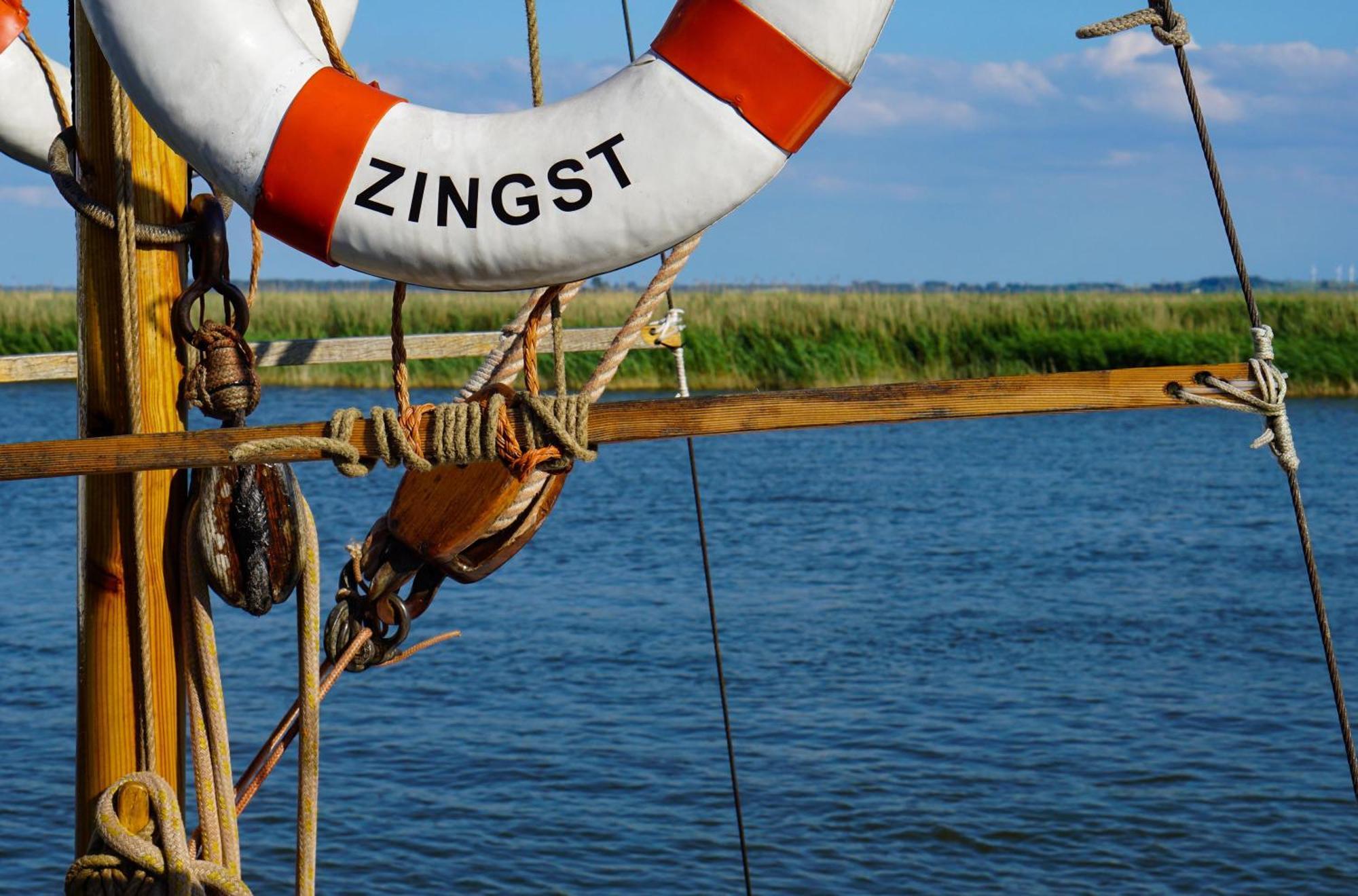 Seehund An Der Seebruecke Zingst Exteriér fotografie