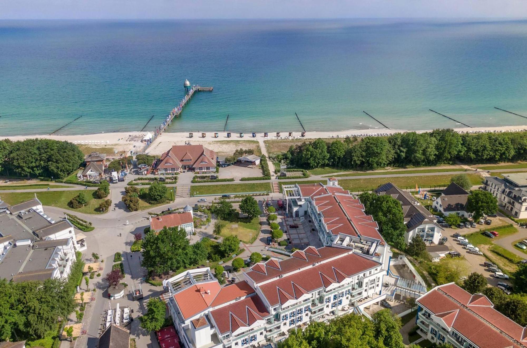 Seehund An Der Seebruecke Zingst Exteriér fotografie