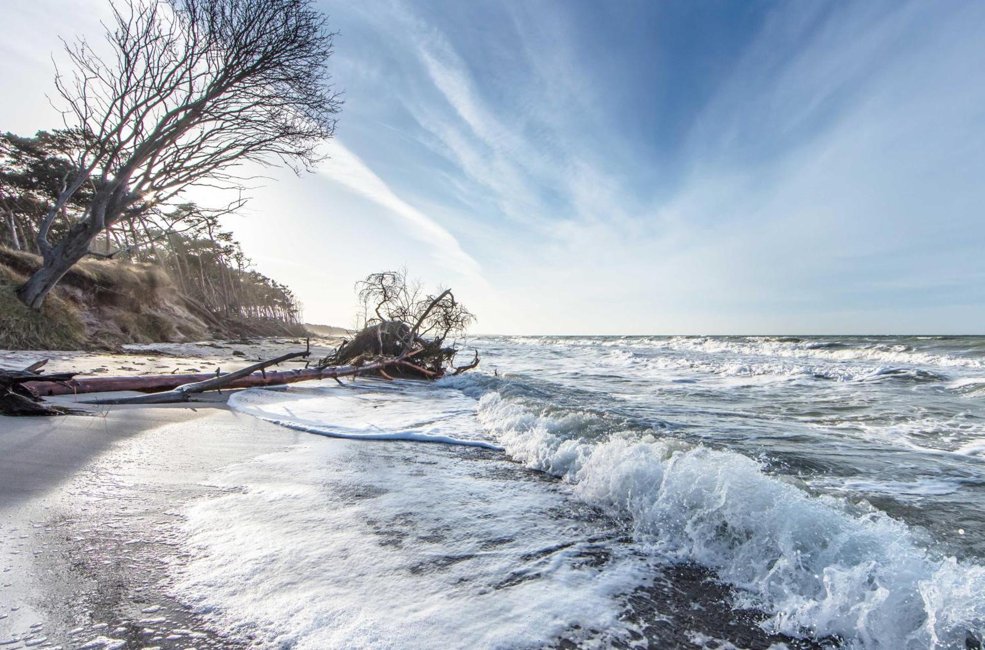 Seehund An Der Seebruecke Zingst Exteriér fotografie